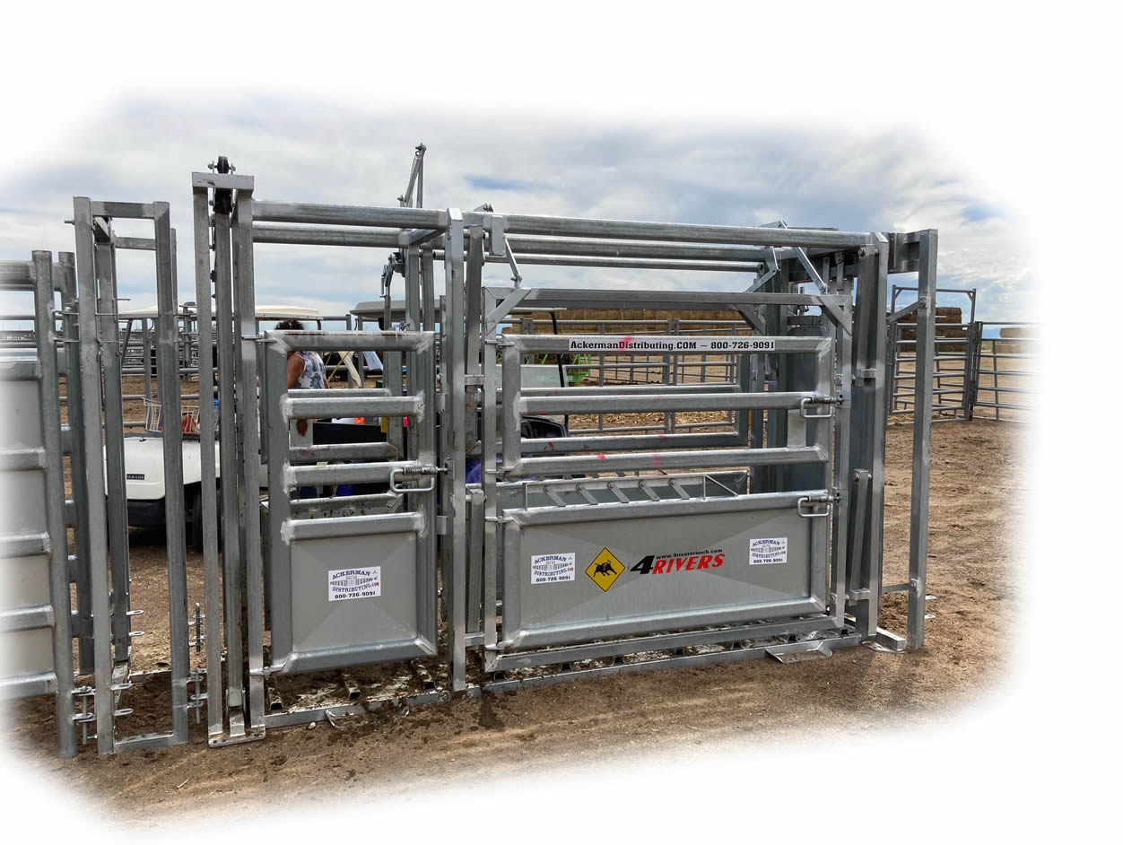 4 Rivers Diamond Vet Squeeze Chute, Parallel Squeeze, Single Side Exit, Galvanized - Cow in Headgate